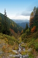 wbgarden alps 7